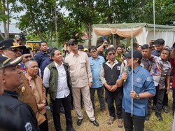 Menhut Tinjau 20 Ribu Hektare Lahan Prabowo di Aceh untuk Konservasi Gajah