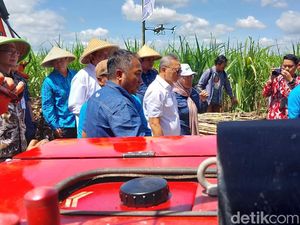 Stop Impor, Zulhas Yakin Gula Dalam Negeri Bisa Penuhi Kebutuhan Nasional Stop Impor, Zulhas Yakin Gula Dalam Negeri Bisa Penuhi Kebutuhan Nasional