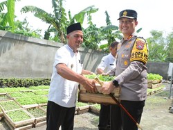 Bibit Tanaman Diserahkan ke Kades Lamongan demi Ketahanan Nasional