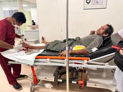 Kronologi Komodo Serang Warga hingga Terluka di Pulau Rinca