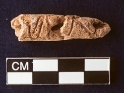 Alfabet Tertua di Dunia Ditemukan di Suriah, Ubah Sejarah Penulisan