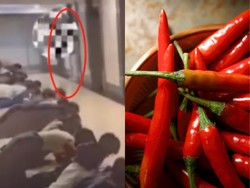 Aneh! Pegawai Tengkurap Saat Bos Lewat-Kalau Salah Dihukum Cabai