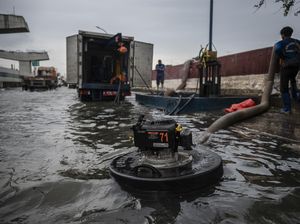 BPBD Minta Warga Pesisir Jakarta Waspada Banjir Rob pada 7-13 Februari BPBD Minta Warga Pesisir Jakarta Waspada Banjir Rob pada 7-13 Februari