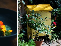 Keren! Salah Satu Resto Terbaik di Dunia Ini Pegawainya Hanya Satu