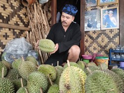 Musim Durian Tiba, Baduy Dibanjiri Wisatawan