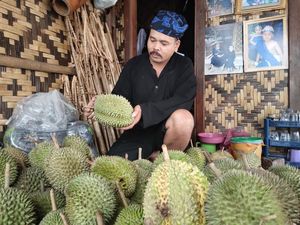 Musim Durian Tiba, Baduy Dibanjiri Wisatawan Musim Durian Tiba, Baduy Dibanjiri Wisatawan