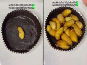 Nyeleneh! Cokelat Dubai Ini Isiannya Ulat Sagu yang Masih Hidup Nyeleneh! Cokelat Dubai Ini Isiannya Ulat Sagu yang Masih Hidup