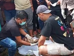 Mayat Bayi Ditemukan Membusuk di Selokan Sawah Manggarai Barat