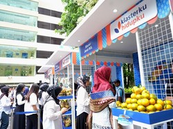 BRI Bina Kelompok Petani di Bengkulu, Kembangkan Jeruk Gerga Curup