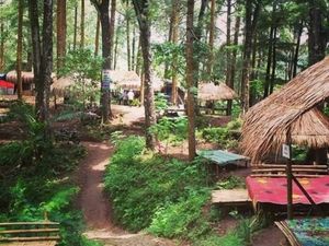 Nikmati Daya Tarik Hutan Pinus Nongko Ijo Madiun saat Liburan Nataru