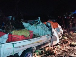 Pikap Muat Sayuran Tabrak Pohon Lalu Terguling di Sewon Bantul, Sopir Tewas