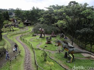 Ini 6 Aktivitas Menarik yang Bisa Dilakukan di Papa Dino