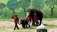 Melihat Perayaan Ulang Tahun Gajah Gonzales di KBS