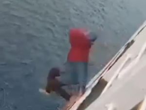 Motif Pilu Ibu Lompat dari Kapal Feri Berujung Tewas di Pantai Bali Motif Pilu Ibu Lompat dari Kapal Feri Berujung Tewas di Pantai Bali