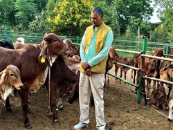 Keren! Petani Ini Cuan Rp 952 Juta Berkat Sistem Pertanian Inovatif