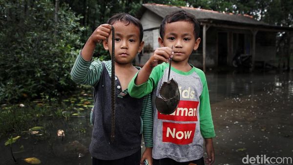 Nestapa Kampung Sembilangan yang Dikepung Banjir Rob