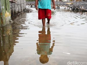 RT di Pluit Jakut Tergenang Banjir Rob Siang Ini, Ketinggian 10 Cm RT di Pluit Jakut Tergenang Banjir Rob Siang Ini, Ketinggian 10 Cm