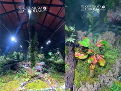 Rumah Kaca Kantong Semar Dibuka, Siswa Bisa Lihat Tanaman Karnivora