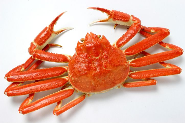 Snow Crab dan King Crab