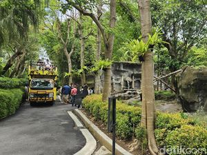 Turis ke Gianyar Mulai Ramai, Dispar Ingatkan Waspada Cuaca Buruk Turis ke Gianyar Mulai Ramai, Dispar Ingatkan Waspada Cuaca Buruk
