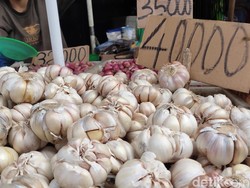 Pemerintah Mau Geber Produksi Bawang Putih buat Pangkas Impor