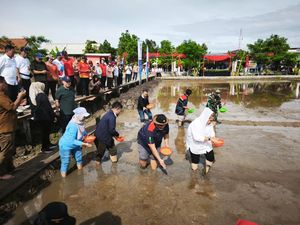 Padi Tahan Garam Ditanam di Pesisir Semarang, Lahan Tidur Jadi Produktif