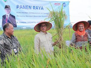 Mendes Bicara Peran BUMDes Serap Tenaga Kerja di Desa