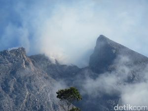 Viral Pendaki Nekat Naik ke Puncak Merapi, TNGM Layangkan Panggilan Viral Pendaki Nekat Naik ke Puncak Merapi, TNGM Layangkan Panggilan