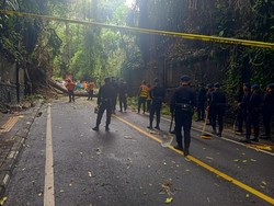 Mewanti-wanti Para Turis agar Hati-hati Plesiran ke Ubud Saat Cuaca Buruk