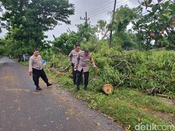 Petani di Ponorogo Meninggal Tertimpa Pohon Usai Tanam Padi
