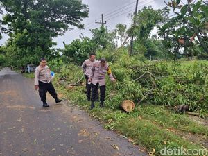 Petani di Ponorogo Meninggal Tertimpa Pohon Usai Tanam Padi Petani di Ponorogo Meninggal Tertimpa Pohon Usai Tanam Padi