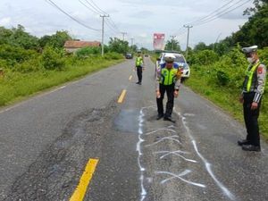 Mobil Pikap Terguling di Muratara, Satu Tewas-2 Luka Berat Mobil Pikap Terguling di Muratara, Satu Tewas-2 Luka Berat