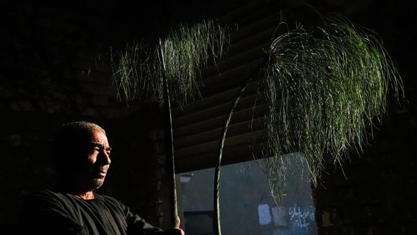 Potret Industri Tertua di Dunia, Pengolahan Papirus dari Tanaman Jadi Kertas