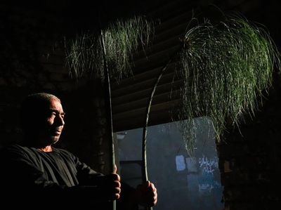 Potret Industri Tertua di Dunia, Pengolahan Papirus dari Tanaman Jadi Kertas