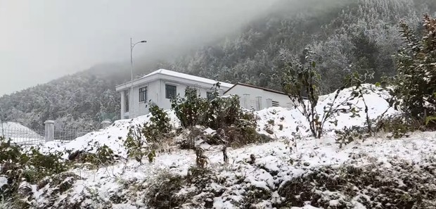 Sapa bersalju/ Foto: Youtube.com/putribasendatarigan