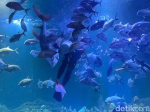 4 Rekomendasi Destinasi Wisata Edukasi di Pangandaran 4 Rekomendasi Destinasi Wisata Edukasi di Pangandaran