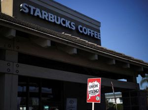 Starbucks Bakal PHK Karyawan Imbas Penjualan Lesu! Starbucks Bakal PHK Karyawan Imbas Penjualan Lesu!