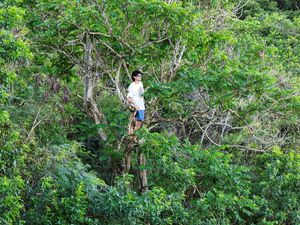 Beragam Aksi Warga Nonton Kejuaraan Selancar Internasional di Hawaii