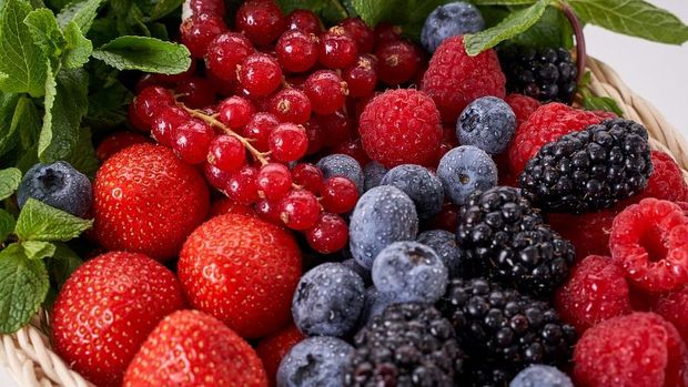 Buah beri baik dikonsumsi untuk menjaga kesehatan otak/Foto: Pixabay/Andrey177