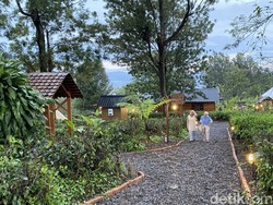 Ide Libur Nataru: Kemping Sambil Menanam Kopi di Sukabumi