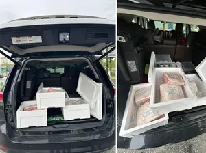 Duh! Daging Sapi Wagyu Rp 67,8 Juta Ini Disita Karena Tidak Memiliki Surat Duh! Daging Sapi Wagyu Rp 67,8 Juta Ini Disita Karena Tidak Memiliki Surat