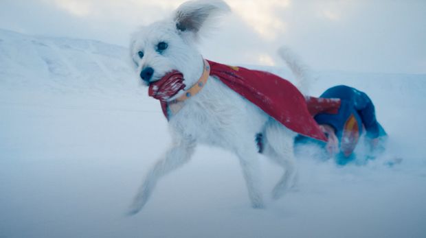 Krypto dalam film Superman (2025). (DC/Warner Bros. Pictures)