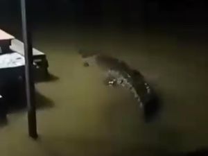 Heboh Buaya Masuk Permukiman Warga Saat Banjir di Maros, Damkar Pastikan Hoax Heboh Buaya Masuk Permukiman Warga Saat Banjir di Maros, Damkar Pastikan Hoax