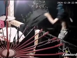 Pencurian Kelinci Angora di Palembang yang Sistematis