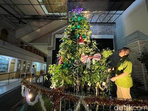 Gereja di Surabaya Susun Aneka Tanaman Jadi Pohon Natal Ekologi Gereja di Surabaya Susun Aneka Tanaman Jadi Pohon Natal Ekologi