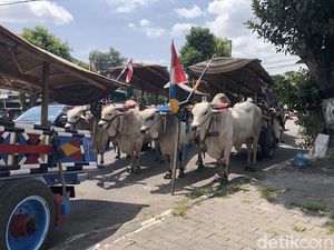 Puluhan Bajingan Muncul di Pusat Kota Jogja, Ada Apa? Puluhan Bajingan Muncul di Pusat Kota Jogja, Ada Apa?