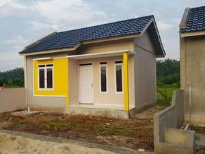 5 Rumah Murah Tanah Luas di Tapung Kampar Riau Mulai Rp 150 Jutaan 5 Rumah Murah Tanah Luas di Tapung Kampar Riau Mulai Rp 150 Jutaan