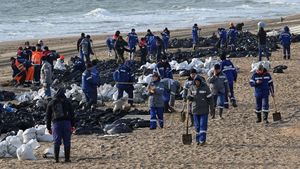 Berjibaku Bersihkan Tumpahan Minyak di Garis Pantai Rusia