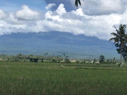 Status Gunung Raung Usai Erupsi Semburkan Kolom Abu hingga 2.000 M