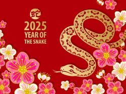 Kapan Imlek 2025? Ini Jadwal, Hari Libur, dan Cuti Bersamanya